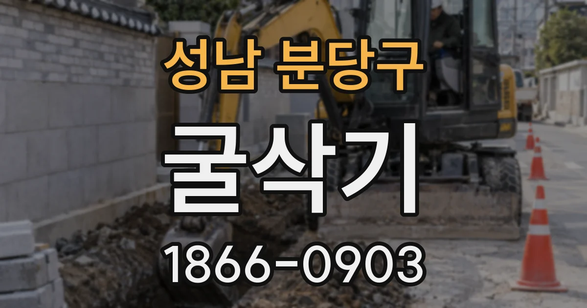 성남 분당구 굴삭기