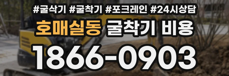 호매실동 굴착기 비용