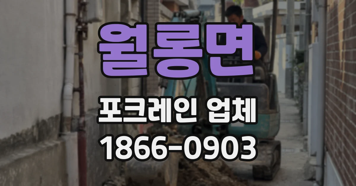 월롱면 포크레인 업체