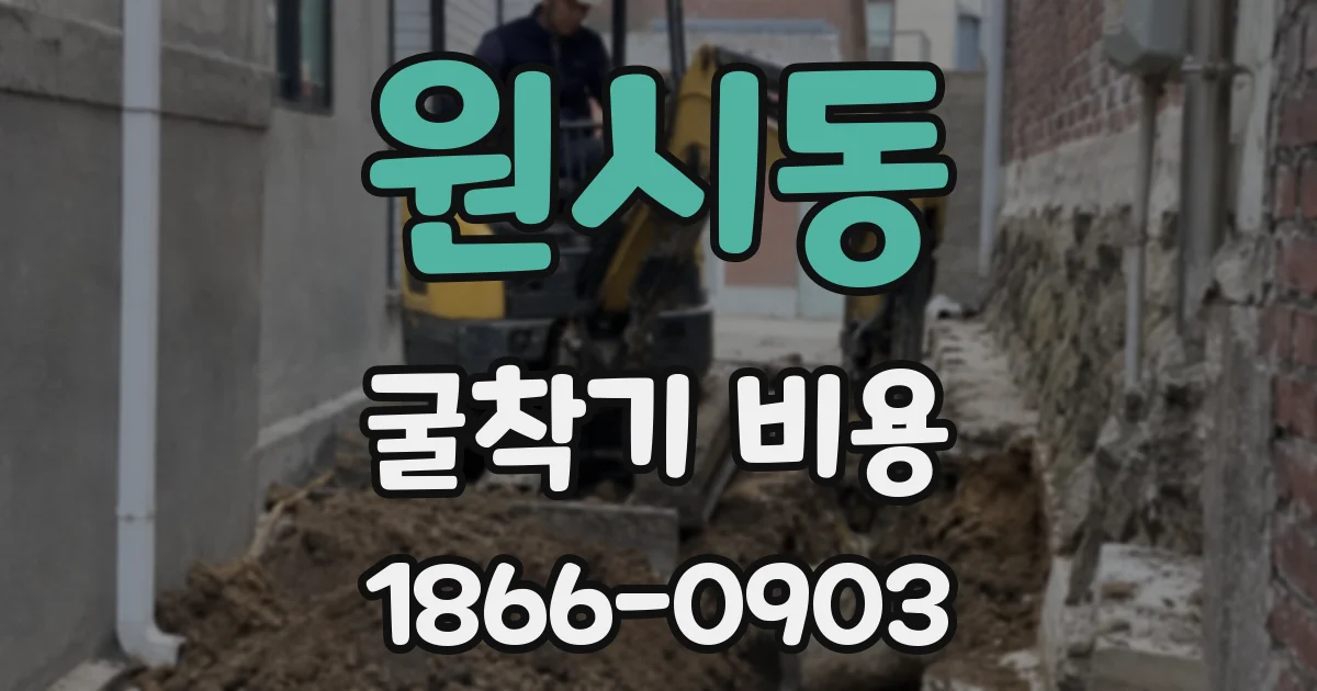 원시동 굴착기 비용