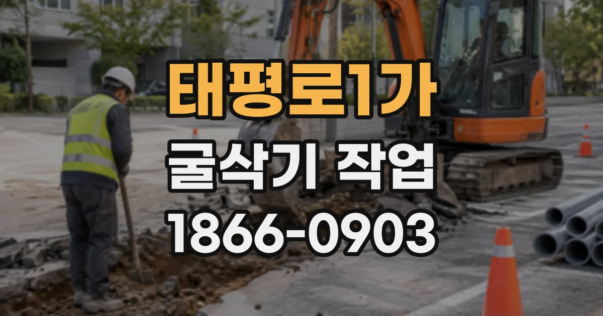 태평로1가 굴삭기작업