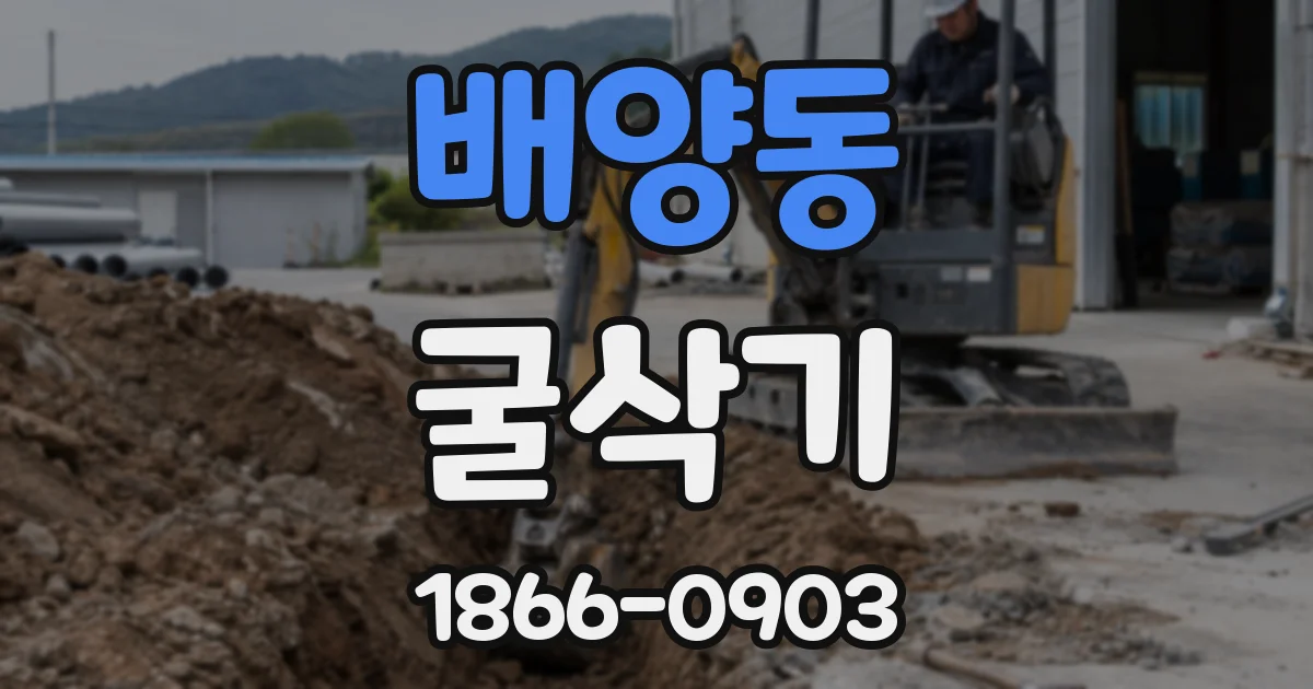 배양동 굴삭기