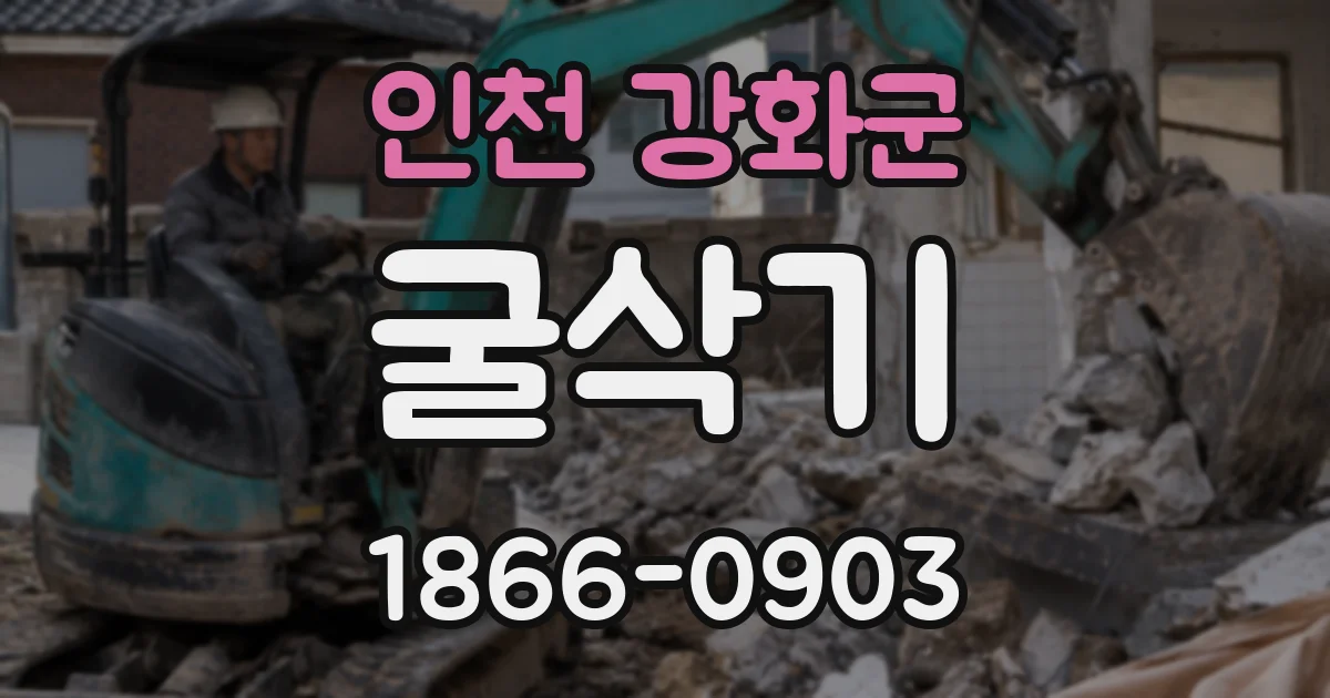 인천 강화군 굴삭기
