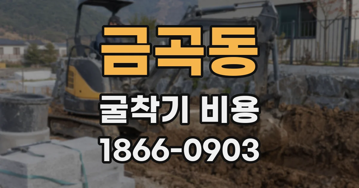 금곡동 굴착기 비용