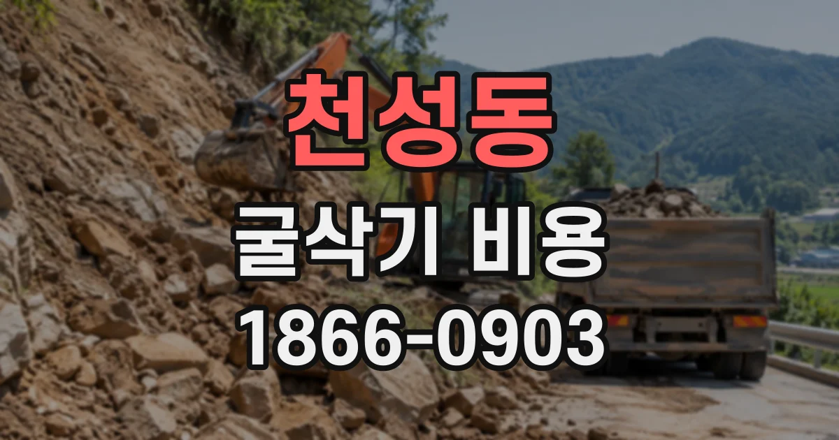 천성동 굴삭기비용