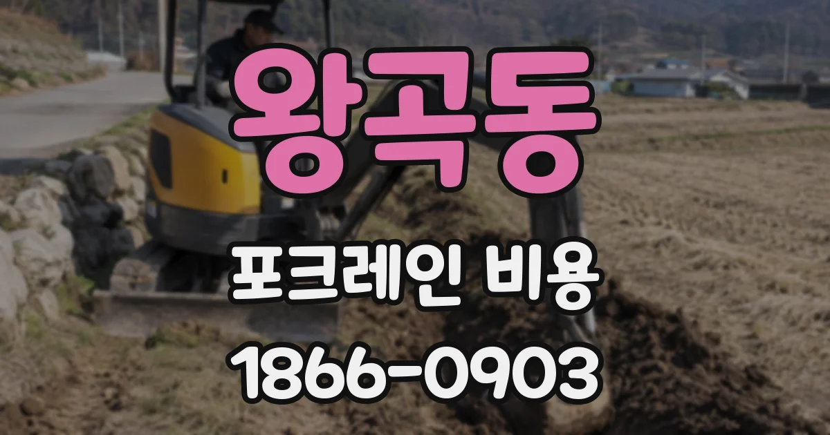 왕곡동 포크레인 비용