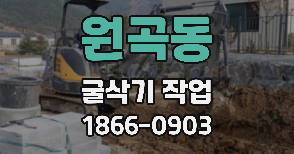 원곡동 굴삭기 작업