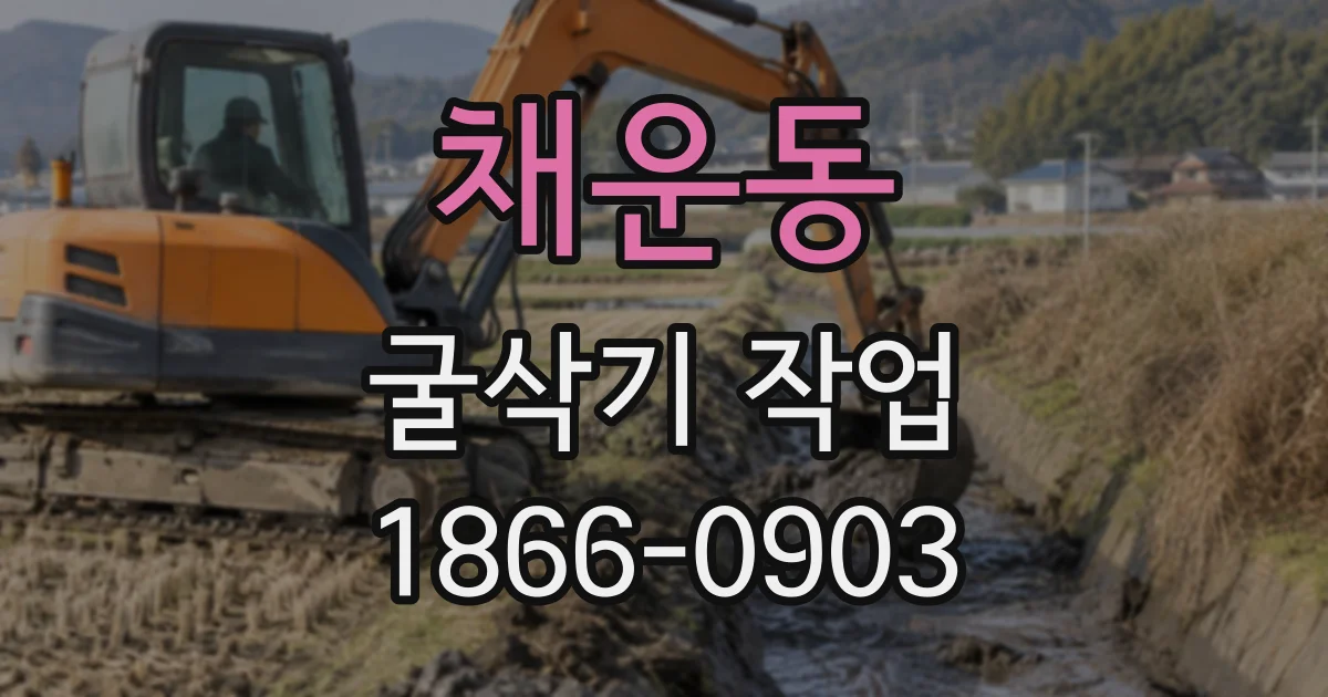 채운동 굴삭기작업
