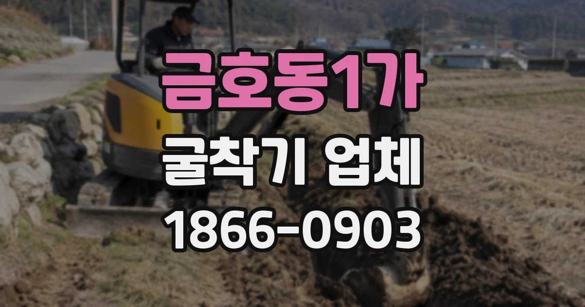 금호동1가 굴착기 업체