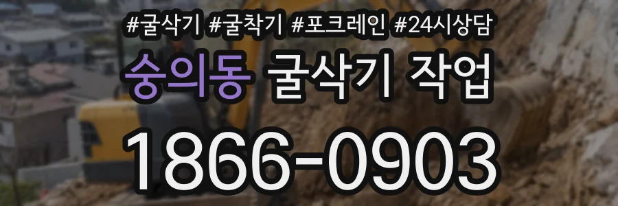 숭의동 굴삭기 작업