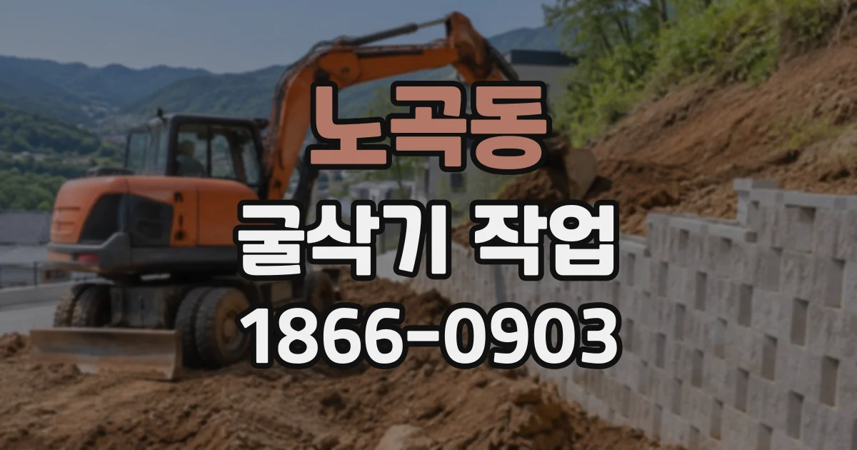 노곡동 굴삭기작업