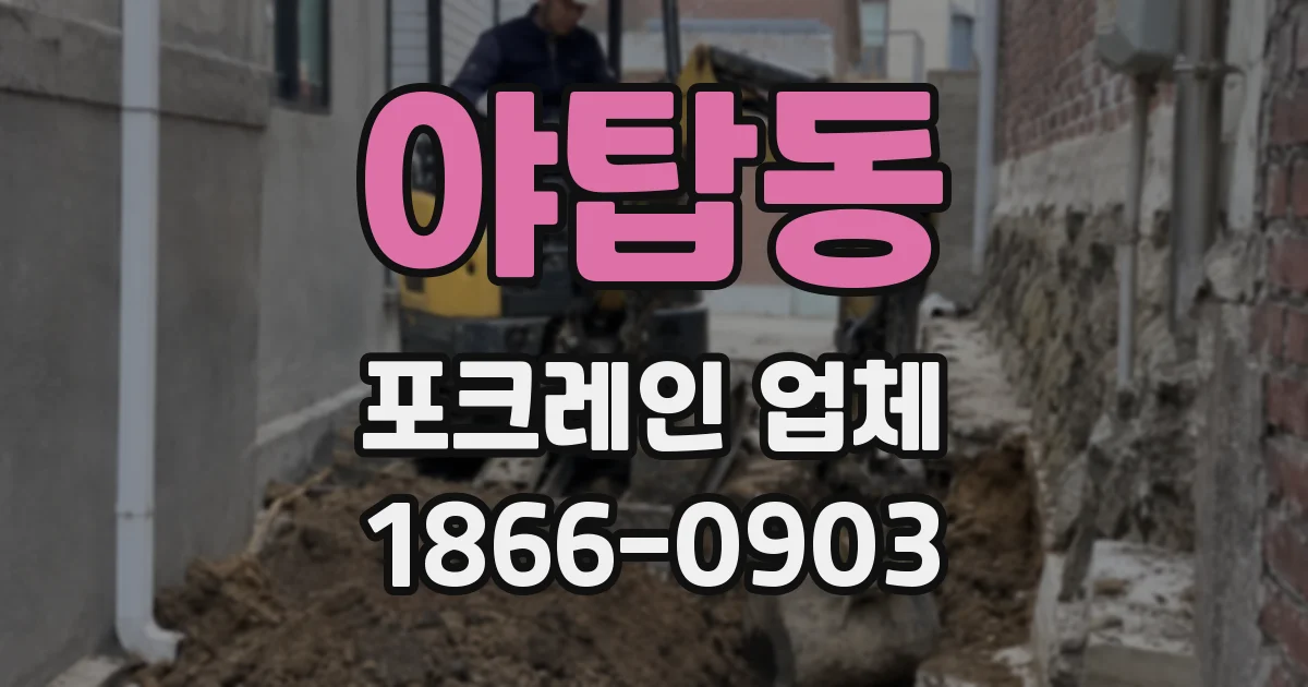 야탑동 포크레인 업체