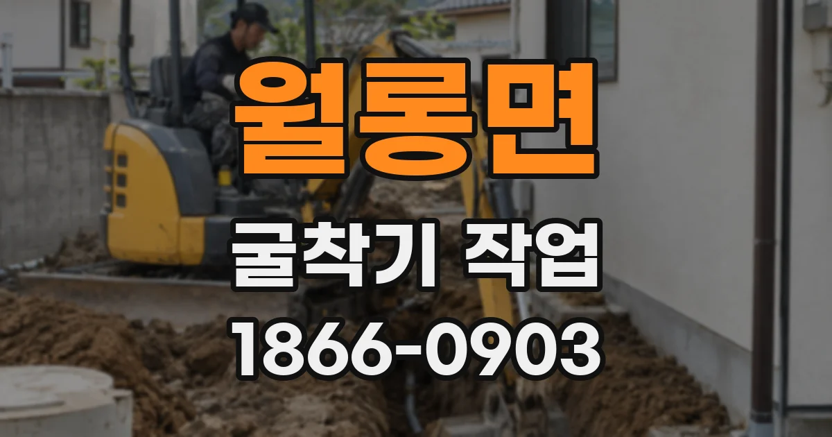 월롱면 굴착기 작업