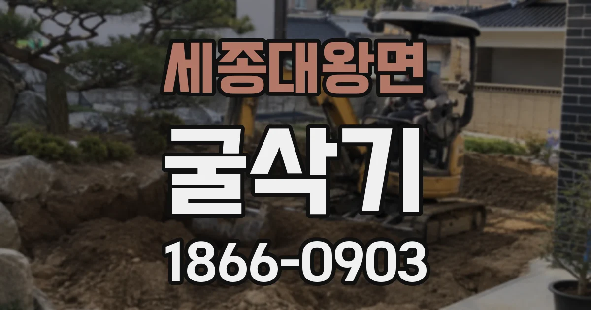 세종대왕면 굴삭기