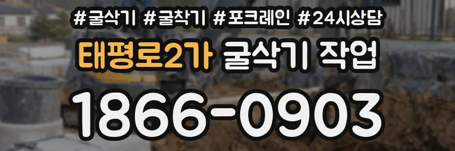 태평로2가 굴삭기 작업