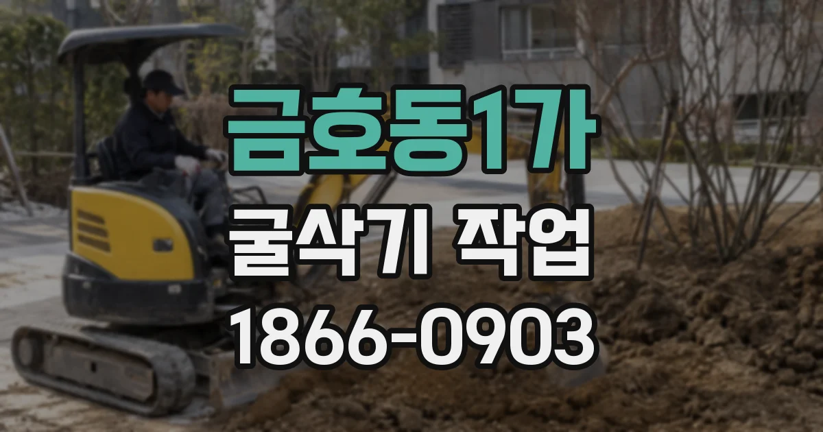 금호동1가 굴삭기 작업