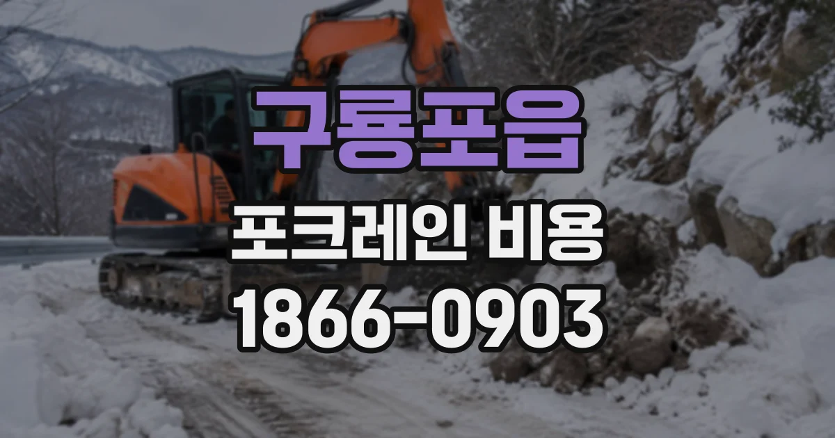 구룡포읍 포크레인비용