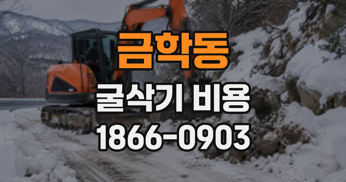 금학동 굴삭기비용