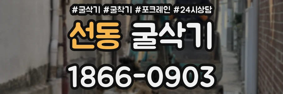 선동 굴삭기