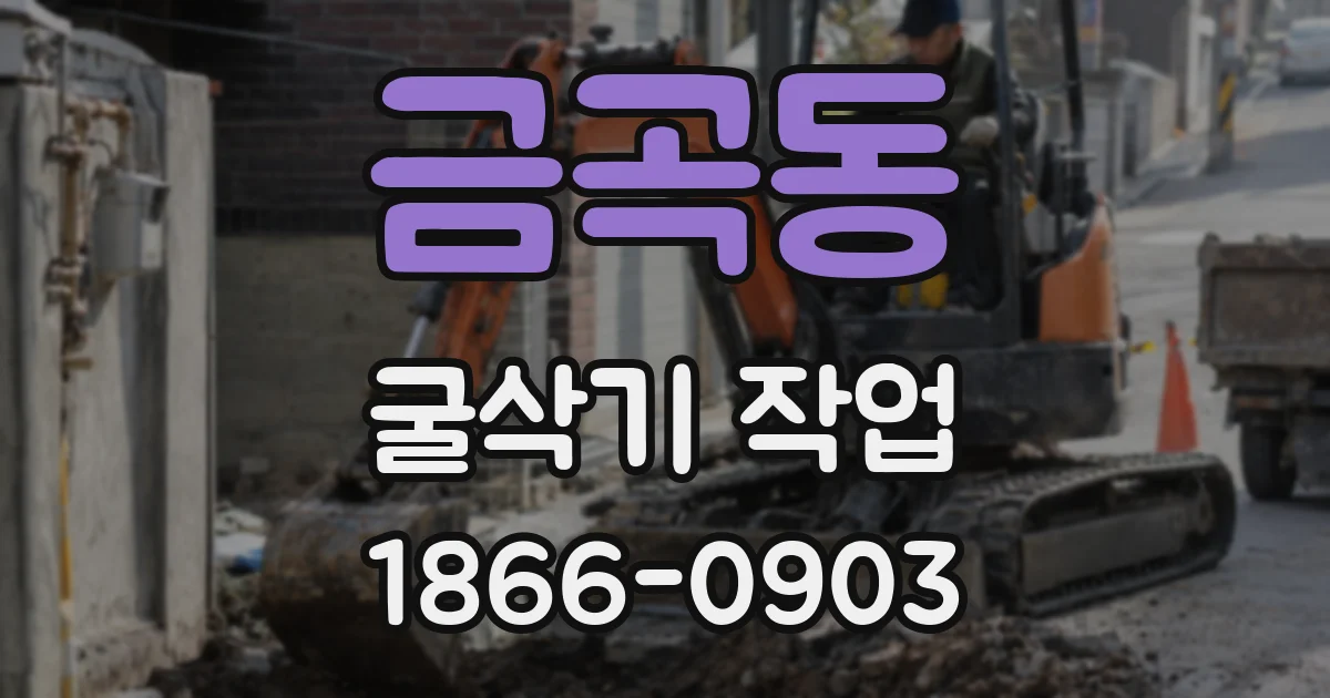 금곡동 굴삭기 작업