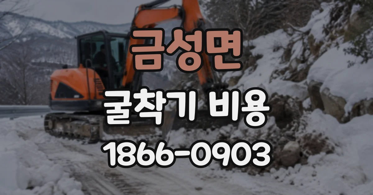 금성면 굴착기비용