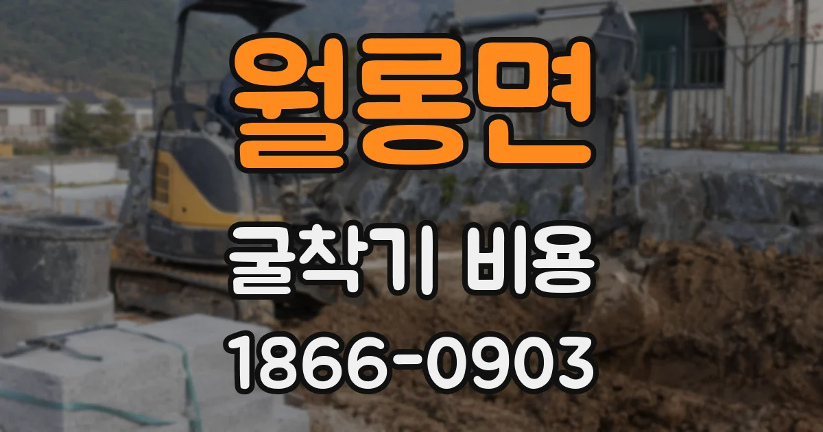 월롱면 굴착기 비용