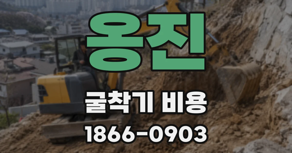 옹진 굴착기 비용