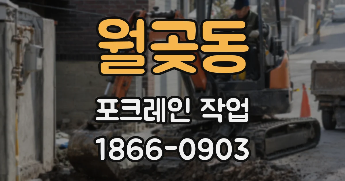 월곶동 포크레인 작업