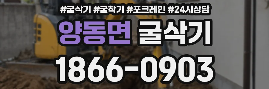 양동면 굴삭기