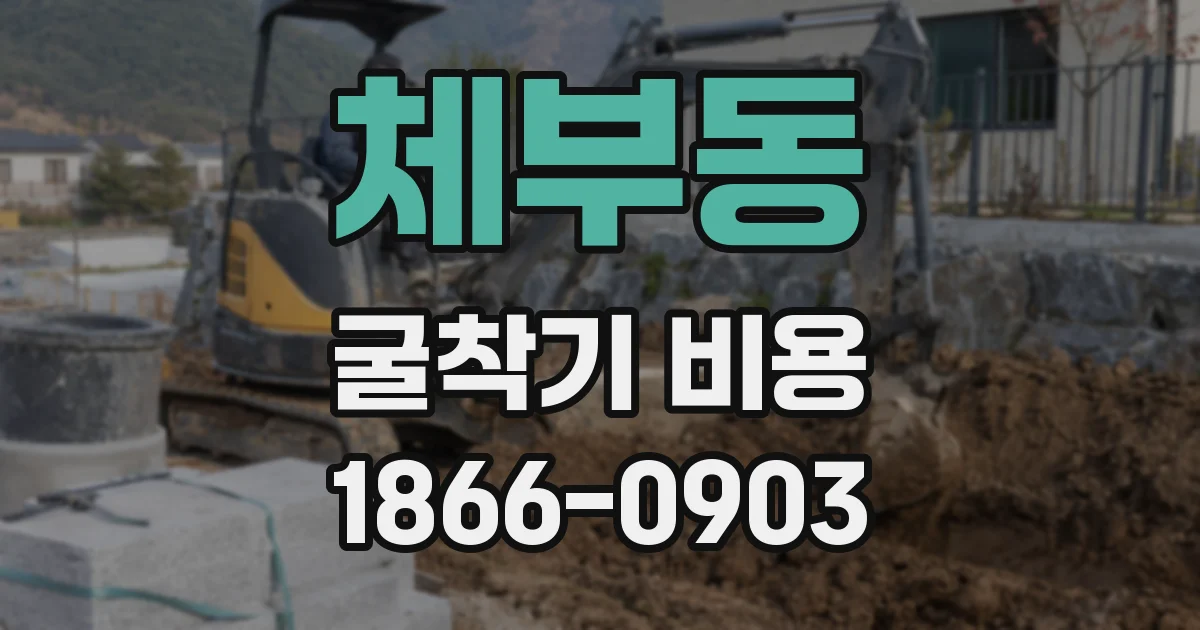 체부동 굴착기 비용