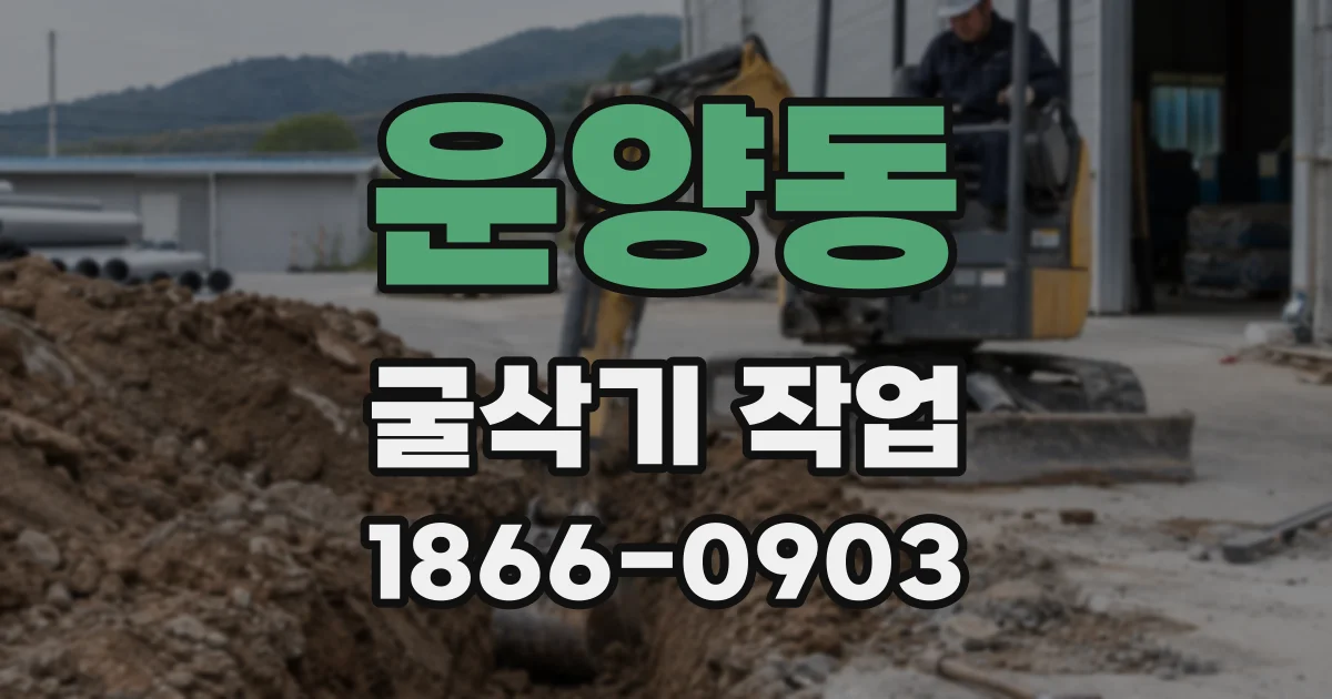 운양동 굴삭기 작업