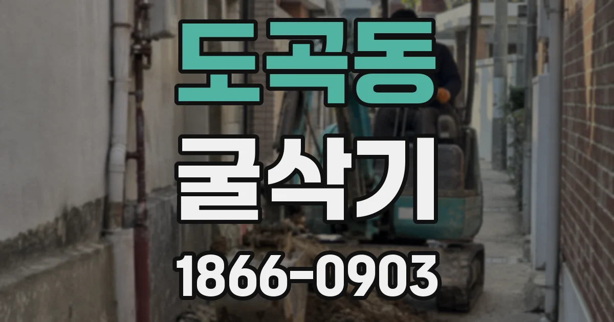 도곡동 굴삭기