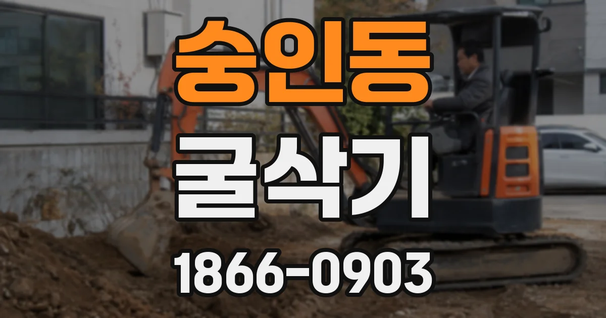 숭인동 굴삭기