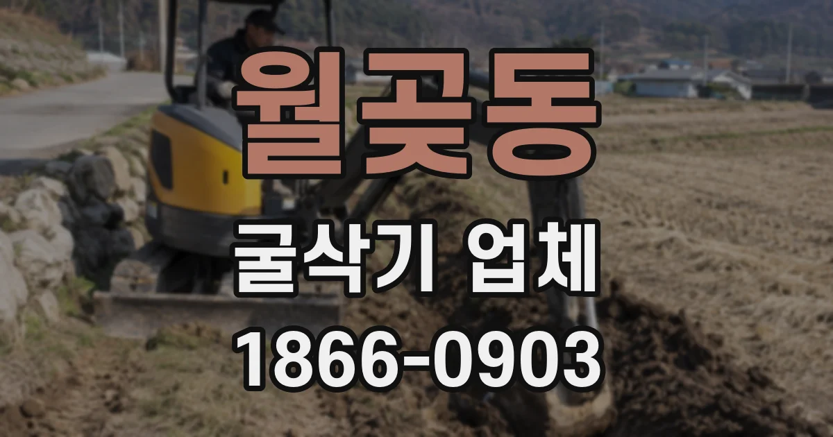 월곶동 굴삭기 업체