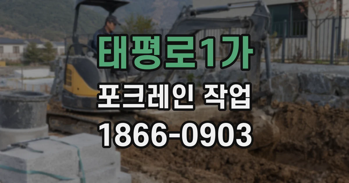 태평로1가 포크레인 작업