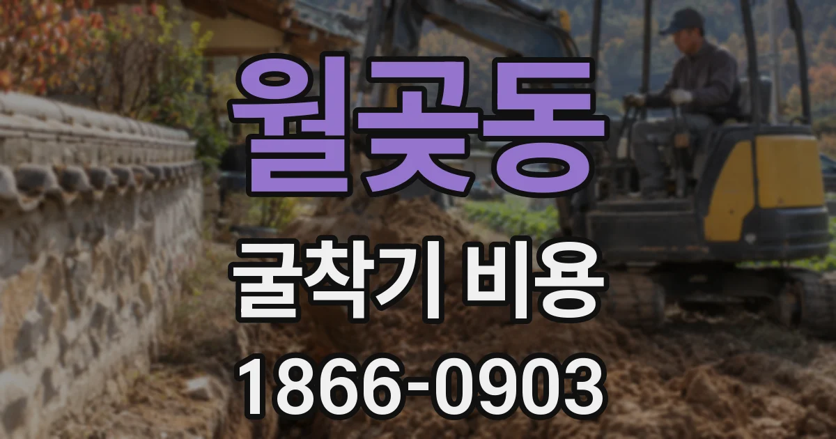 월곶동 굴착기 비용