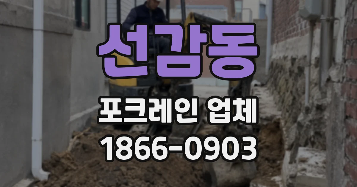 선감동 포크레인 업체