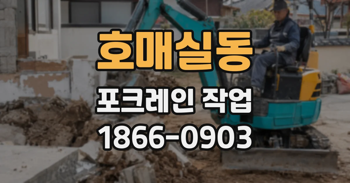 호매실동 포크레인 작업
