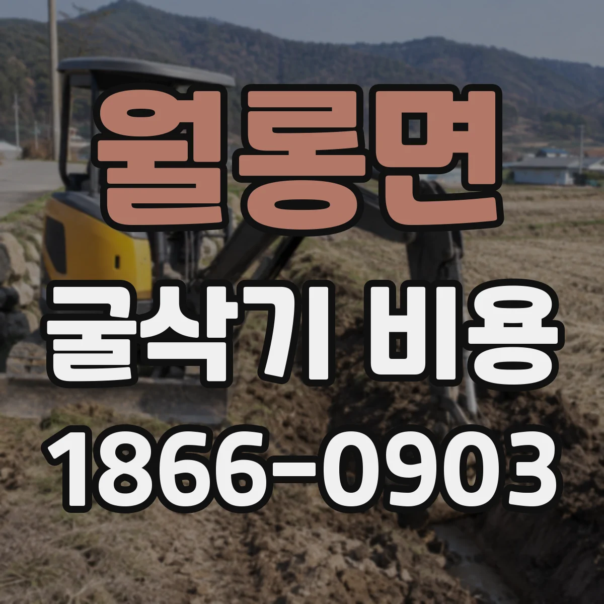월롱면 굴삭기 비용
