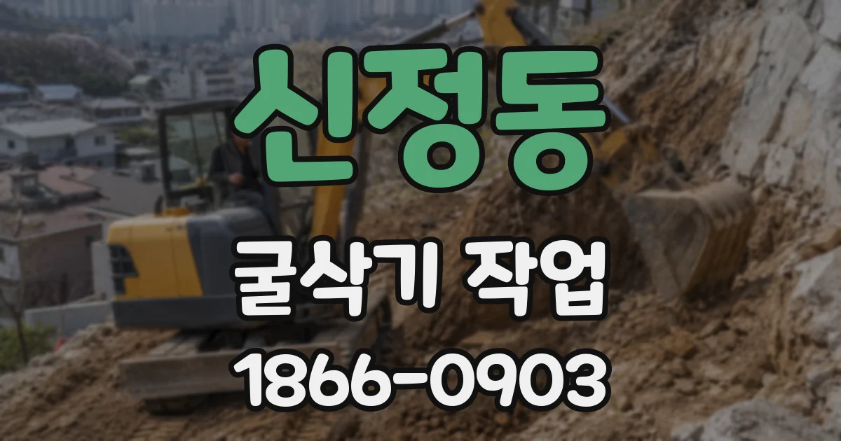 신정동 굴삭기 작업