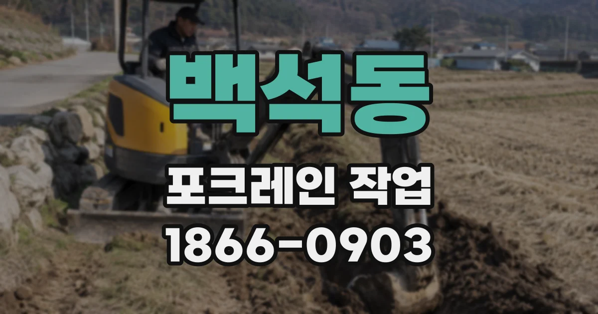 백석동 포크레인 작업
