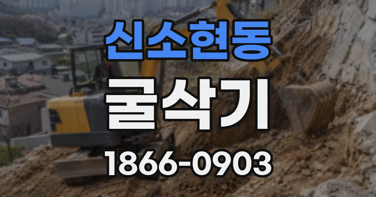 신소현동 굴삭기