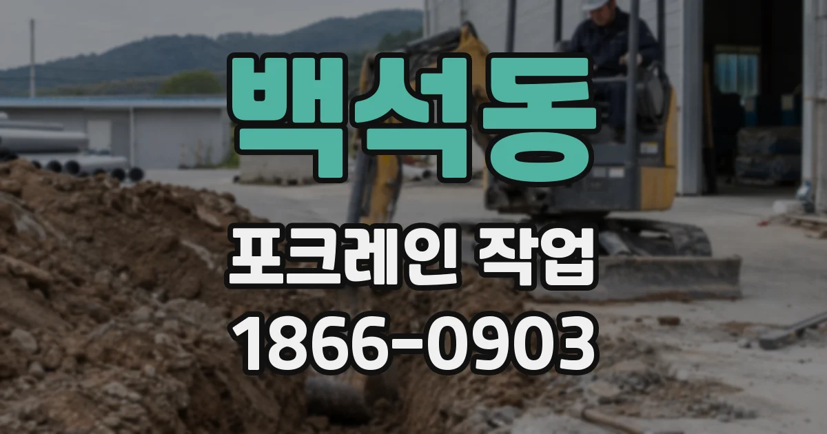 백석동 포크레인 작업