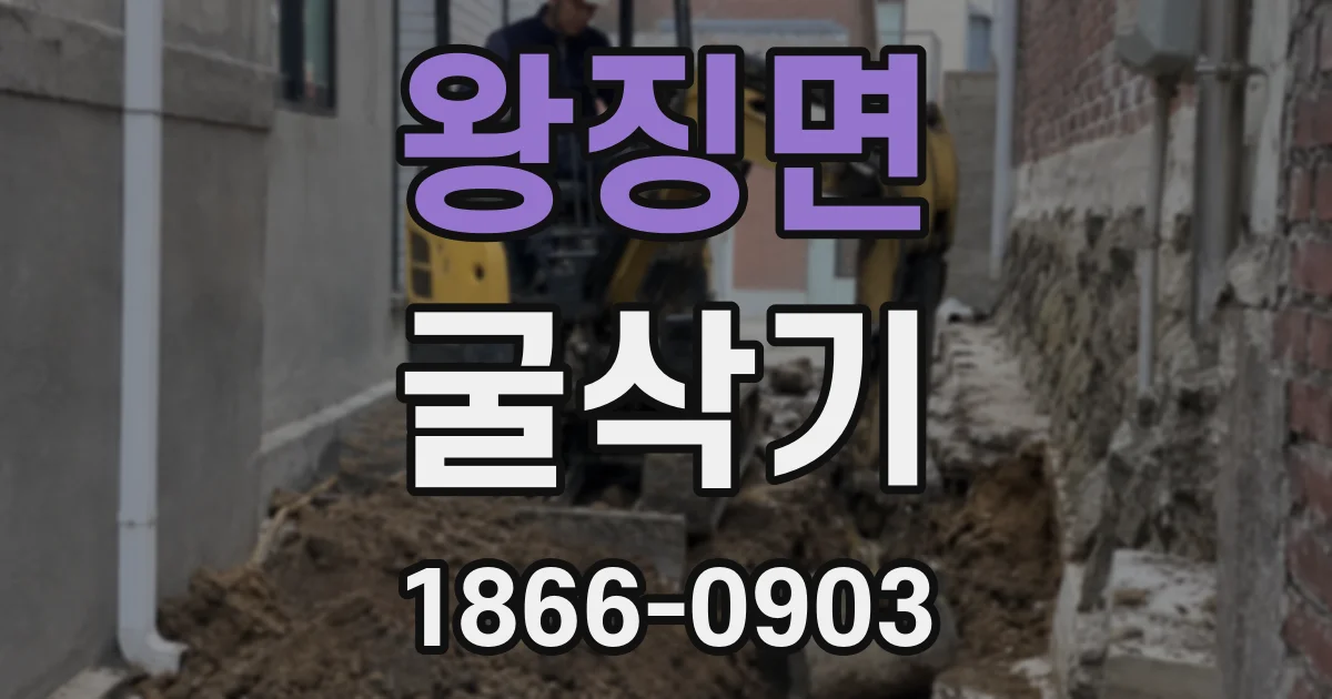 왕징면 굴삭기