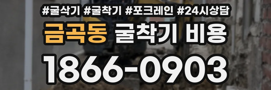 금곡동 굴착기 비용