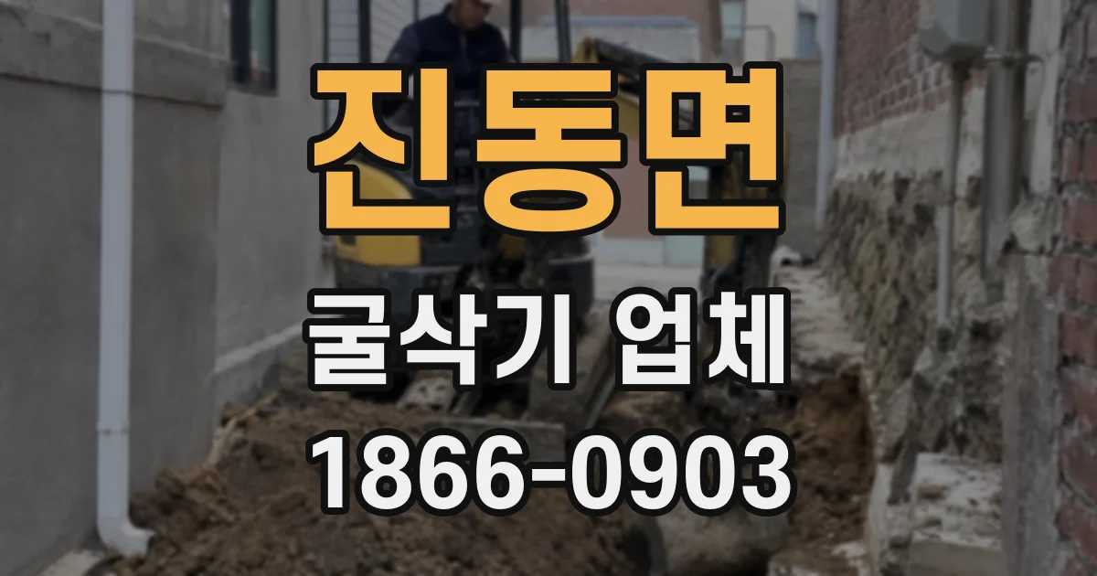 진동면 굴삭기 업체