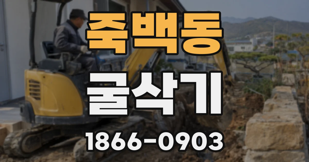 죽백동 굴삭기