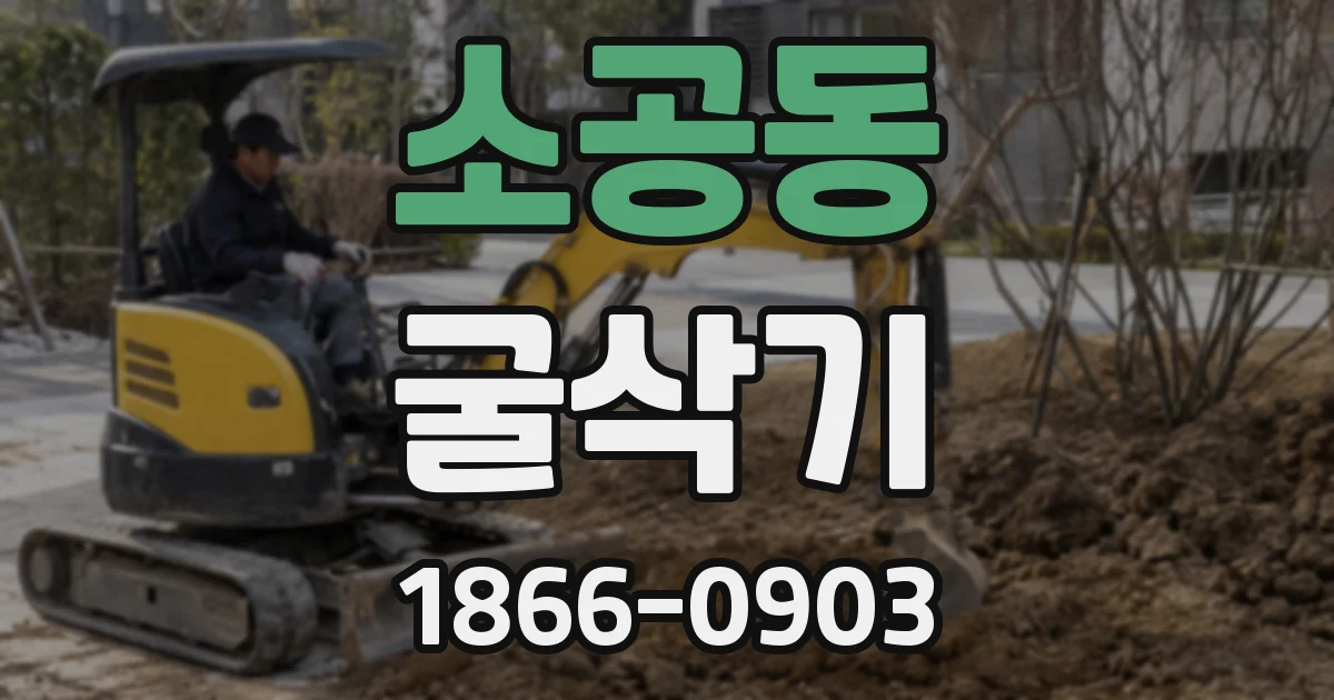 소공동 굴삭기