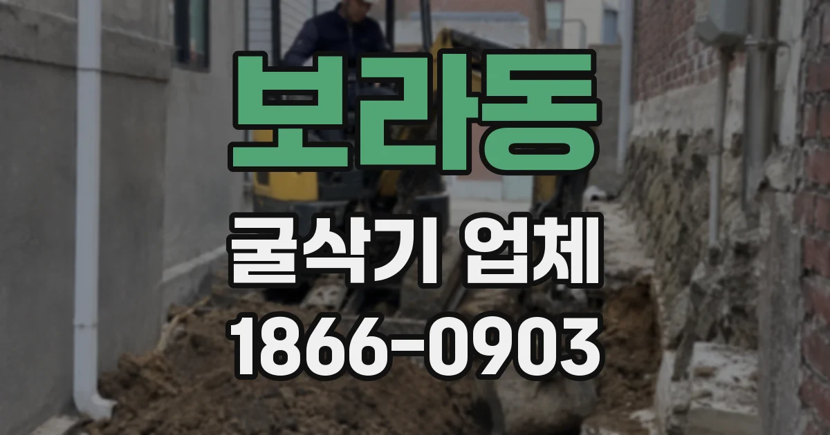 보라동 굴삭기 업체