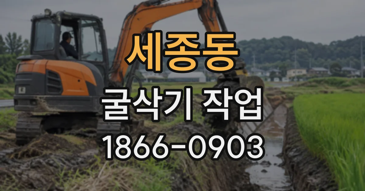 세종동 굴삭기작업